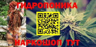 ПСИЛОЦИБИНОВЫЕ ГРИБЫ Дубна