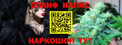 ПСИЛОЦИБИНОВЫЕ ГРИБЫ Дубна