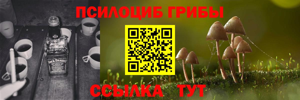 Псилоцибиновые грибы GOLDEN TEACHER Людиново